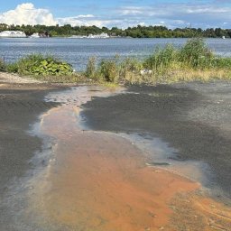 Клязьминское водохранилище отравлено цементной пылью и нефтепродуктами по данным проверки